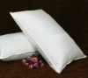 PP Cotton Pillow