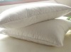 PP Cotton Pillow