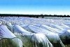 PP Non Woven fabric for agricultural mulch film