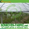 PP Nonwoven Anti-UV Fabric