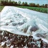 PP Spunbond non woven fabric for agriculture