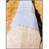 PP Spunbonded Non-Woven Fabric for Agricultural Usage