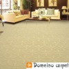 PP carpet Project carpet