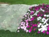 PP non-woven fabric ,mulch fleece