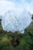 PP non-woven fabric ,mulch fleece ,beige ground cover for rose