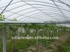 PP nonwoven fabric for Gardening and Landscape