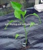PP nonwoven fabric for agriculture/garden weed control