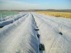 PP nonwoven mulch fabric