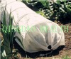 PP nonwoven winter protective fabric for agriculture (White color )