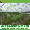 PP spunbonded non woven agriculture green house