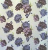 PRINTED CORAL FLEECE FABRIC