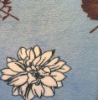 PRINTED CORAL FLEECE FABRIC