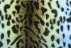 PRINTING CORAL FLEECE FABRIC