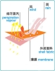 PTFE fabric