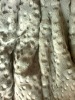 PV Fleece