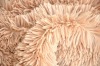PV fleece fabric