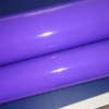 PVC Inflatable Fabric