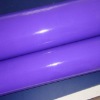 PVC Inflatable Fabric