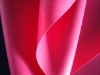 PVC Tarpaulin (Inflatable Toys)