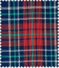 PVC coated Polyester fabric- Scotland