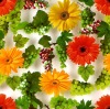 PVC table cloth