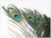 Peacock feather, Peacock eye feather, peacock tail feather, wedding feather, decorative natural peacock feather,