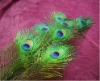 Peacock feather, feather extensions, feather dress, tail feather,