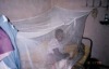 Permanent Long Lasting Insecticide Treated Mosquito Net