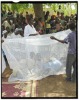 Permanent Long Lasting Insecticide Treated Mosquito Net