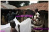 Permanet long lasting impregnated treated mosquito net against Malaria