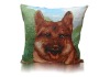 Photo Real Printing pillow / Cushion