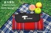 Picnic mat