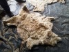 Piel de Alpaca con lana.