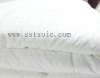 Pillowy Soft and Shiny Nature White Silk Quilt