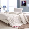 Plain Cotton Luxurious Applique Silk comforter