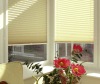 Pleated Blind