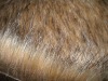 Plush Fake Fur Fabric