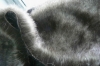 Plush Long Plie Fake Fur Fabric