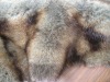 Plush fur