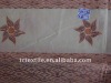Polester/Cotton Printed Fabric T/C 65/35 45s 110*76