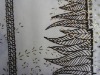 Polished 100% Cotton Fabric