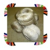 Polished Jute Yarn