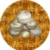 Polished Jute Yarn