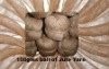 Polished Jute Yarn