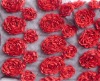 Poly Mesh Taffeta Ribbon Embroidery Fabric