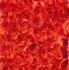 Poly Satin Ribbon Embroidery