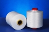 Polyester DTY-300D/96F Trilobal Bright yarn  (HIM)