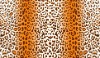 Polyester Fabric