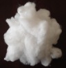 Polyester Fiber