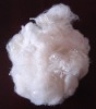 Polyester Fiber